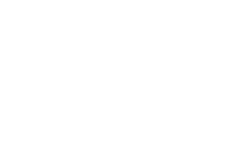 AI
Claude Codex Gemini